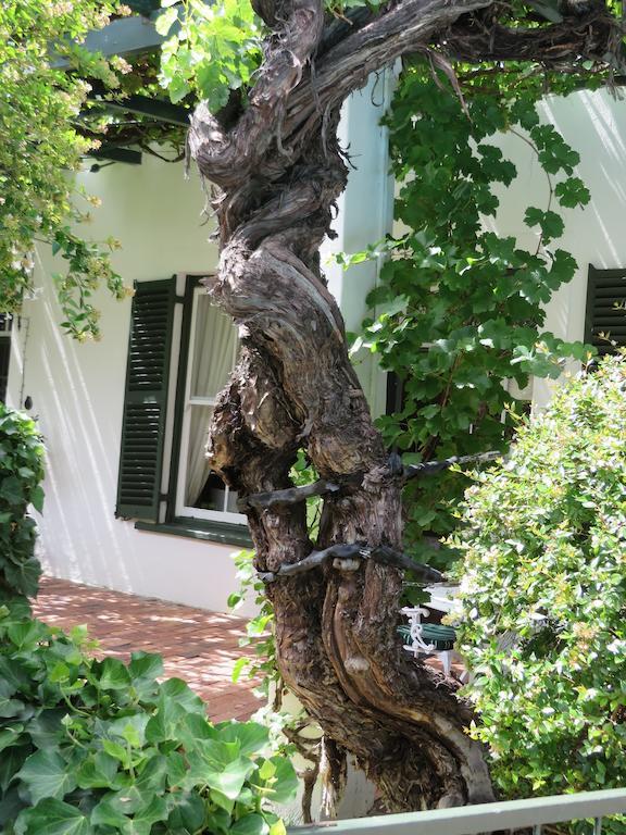 Buiten Verwagten Guest House Graaff-Reinet 外观 照片